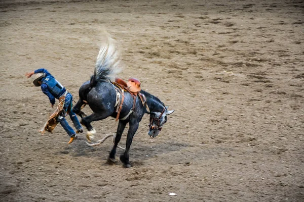 09.09.2019 Cody, Вайомінг, США: Cowboy Rodeo show — стокове фото
