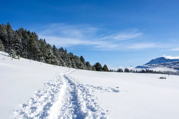 雪の中でのハイキングコース/足跡 ロイヤリティフリーのストック画像