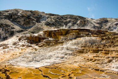 Yellowstone Ulusal Parkı, Wyoming, Amerika Birleşik Devletleri 'ndeki Mamut Kaplıcaları