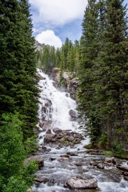 Grand Teton Ulusal Parkı 'ndaki Jenny Gölü' ne düştü.