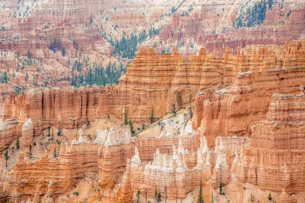 Hoodoos in the bryce canyon national park — 图库照片