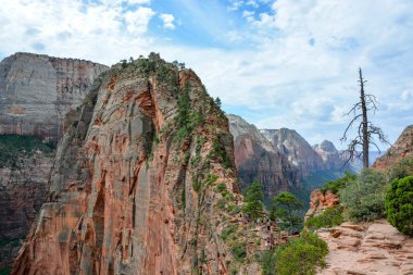 Meleklerin panoraması yazın güneşli bir günde, mavi gökyüzü, Zion Ulusal Parkı, Utah, Amerika Birleşik Devletleri