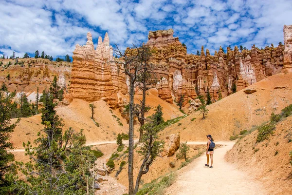 Excursionista Turista Sendero Navajo Parque Nacional Bryce Canyon Día Soleado Fotos De Stock Sin Royalties Gratis
