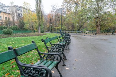 Romanya 'nın Bükreş kentindeki Cismigiu parkında veya Cismigiu bahçelerinde sabahları sıra sıra banklar..