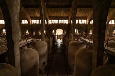 Mallorca 'da terk edilmiş Felanich Kooperatif Şaraphanesi. El Sindicato olarak bilinen terk edilmiş bina..