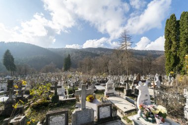 Sinaia, Prahova, Romanya - 19 Kasım 2019: Bucegi Doğal Parkı yakınlarındaki Sinaia Setu belediye mezarlığının manzarası.