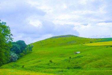 Şafak vakti dağ ormanı, havada hafif bir sis. Tepelerin manzaralı manzarası. Orman manzarası