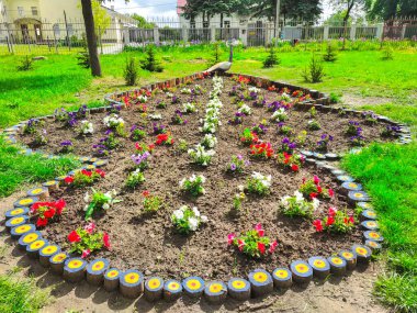 Park çayırı çiçekleri, doğa.