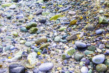 Kumda Zen taşı, çakıl taşı sanatı, suda küçük düz taşlar.