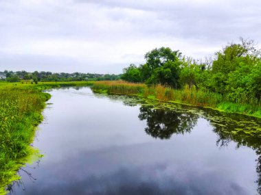 Nehir yolu Panorama Sahili Doğa
