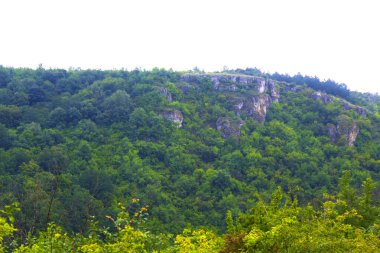 Şafak vakti dağ ormanı, havada hafif bir sis. Tepelerin manzaralı manzarası. Orman manzarası