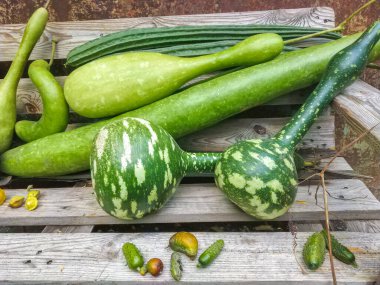 Taze lif ve balkabağı, arka plan için sebze, hasat.