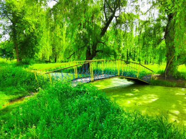 Park Gölü, Nehir Köprüsü Güneşli bir günde