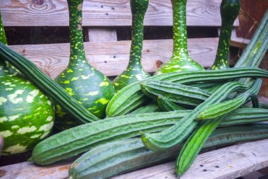 Taze lif ve balkabağı, arka plan için sebze, hasat.