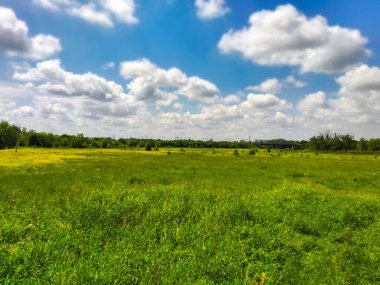 Akşam günbatımı yeşil arazi tepeleri
