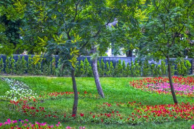 Bahar parkı, yaz günü çiçekler.