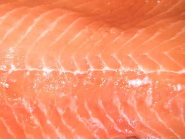 Taze çiğ somon fileto. Pişmemiş balık.