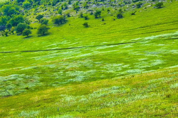 Groene Veld Heuvels Landschap Panorama — Stockfoto