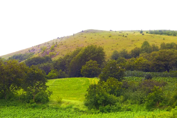 Zielone Pole Wzgórza Krajobraz Panorama — Zdjęcie stockowe