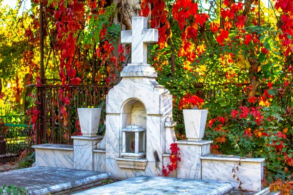 Tumbas Cementerio Entre Plantas Verdes Viejas Tumbas Cementerio Tumba Gótica — Foto de Stock