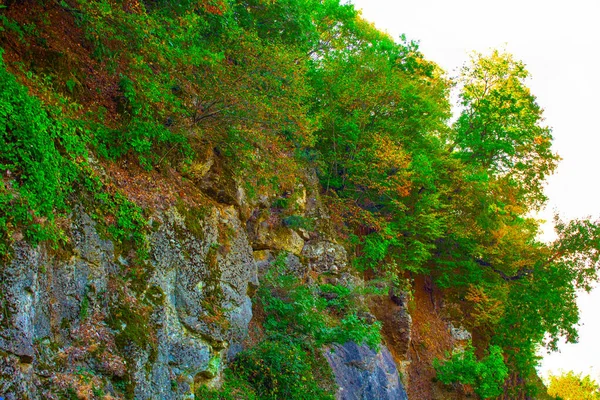 Гірський Пагорб Скелі Зелені Кущі — стокове фото