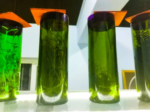 Chemisch Laboratoriumglaswerk Kolven Reageerbuizen Flessen — Stockfoto