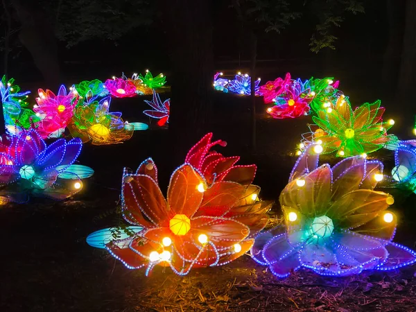 Beautiful Glowing Artificial Flowers Garden Light Installations — Stock Photo, Image