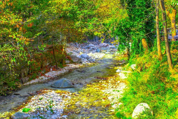 Ποτάμι Βράχια Φθινοπωρινό Πάρκο — Φωτογραφία Αρχείου