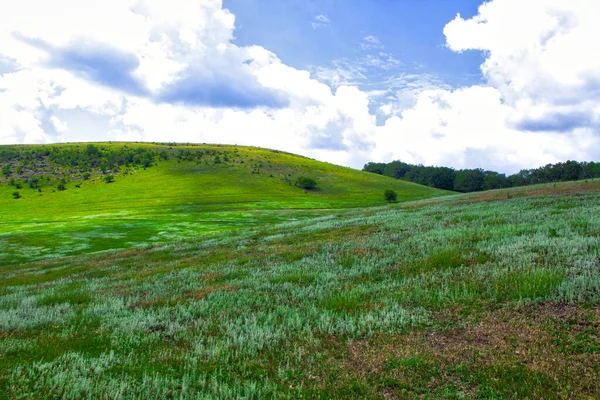 緑のフィールドの丘の風景パノラマ — ストック写真