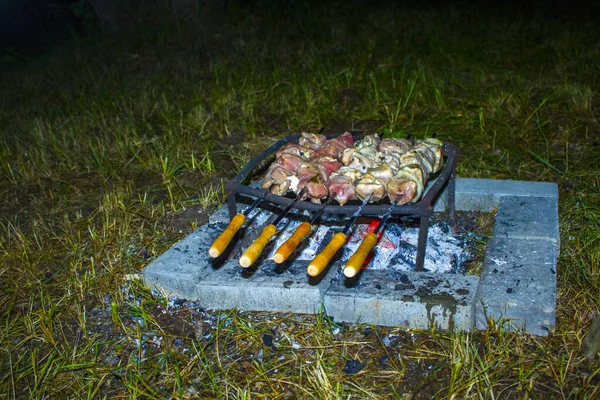 Ormanda Kamp Ateşi Doğal Şömine Kamp Yemeği Yaz Kampında Barbekü — Stok fotoğraf