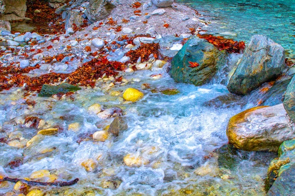 Flusswasser Plätschert Vor Steinen Und Ahornblättern Herbst — Stockfoto