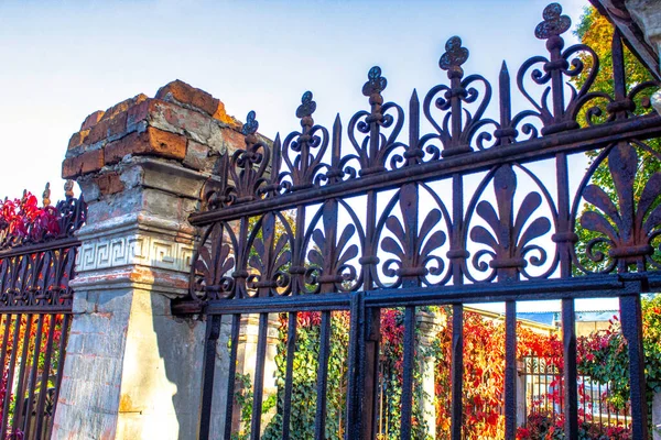 closeup of metal fence with plants in the background. Rusty, old gate without a fence. Vintage metal fence with rust