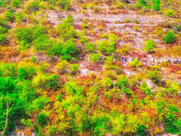 Góra Trawy Drzew Tekstury Tła — Zdjęcie stockowe