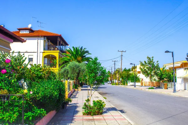 Yunanistan Köy Sokağı Palmiye Ağacı — Stok fotoğraf