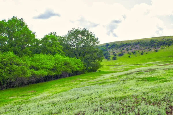 Campo Verde Colinas Paisaje Panorama —  Fotos de Stock