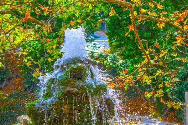 Green Moss Rocks Fountain Design Water Splash — Stock Photo, Image