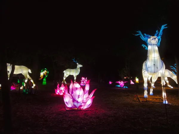 Santa's deer made of strip light as a Christmas decoration. Garden decorated with the glittering lights and luminous deer.