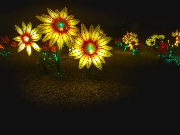 Hermosas Instalaciones Luz Artificial Color Amarillo Florido — Foto de Stock
