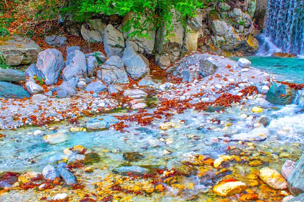 River Water Splash Rocks Autumn Maple Leaves — 스톡 사진