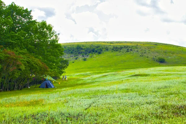 Camping Tents Green Hills Forest — ストック写真