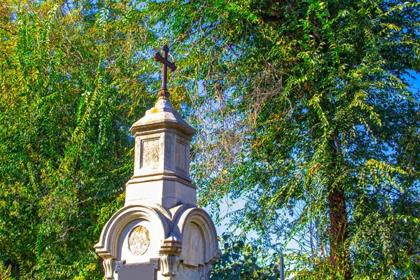 Grabsteine Auf Dem Friedhof Inmitten Grüner Pflanzen Alte Gräber Auf — Stockfoto