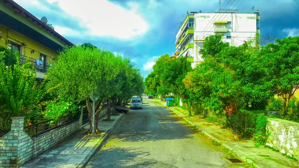 Árboles Forestales Panorama Carretera Ciudad — Foto de Stock