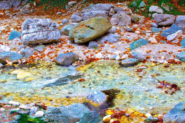 Nehir Suyu Kayalar Sonbahar Akçaağaç Yapraklarıyla Sıçrar — Stok fotoğraf