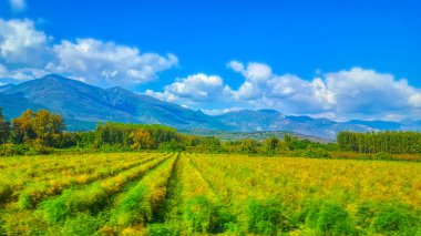 Panorama arazisi tepeleri, çiftlik manzarası