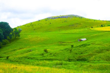 Şafak vakti dağ ormanı, havada hafif bir sis. Tepelerin manzaralı manzarası. Orman manzarası