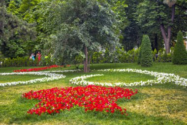 Bahar parkı, yaz günü çiçekler.
