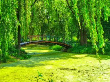 Park Gölü, Nehir Köprüsü Güneşli bir günde