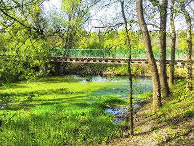 Köprü Parkı Bataklık Gölü Baharı