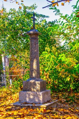 Mezarlıkta yeşil bitkilerin arasında mezar taşları. Mezarlıktaki eski mezarlar. Sonbahar güneşli bir günde Gotik mezar taşı