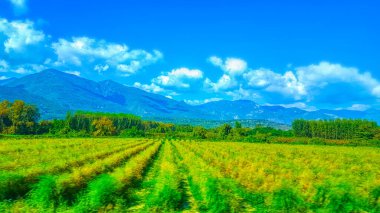 Panorama arazisi tepeleri, çiftlik manzarası